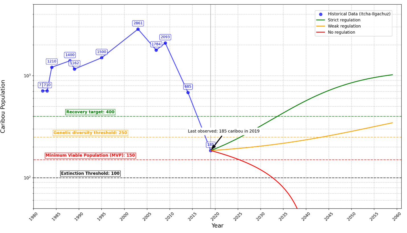 Graph of Itcha-Ilgachuz caribou population (1983–2019) with projections under strict, weak, and no regulation. Numbers peak in 2003 then fall to 185 in 2019. Recovery, genetic diversity, viable population, and extinction thresholds are marked. Strict regulation shows recovery, weak regulation stabilizes, and no regulation leads to extinction. Longer description available. Graph of Itcha-Ilgachuz caribou population (1983–2019) with projections under strict, weak, and no regulation. Numbers peak in 2003 then fall to 185 in 2019. Recovery, genetic diversity, viable population, and extinction thresholds are marked. Strict regulation shows recovery, weak regulation stabilizes, and no regulation leads to extinction. Longer description available.