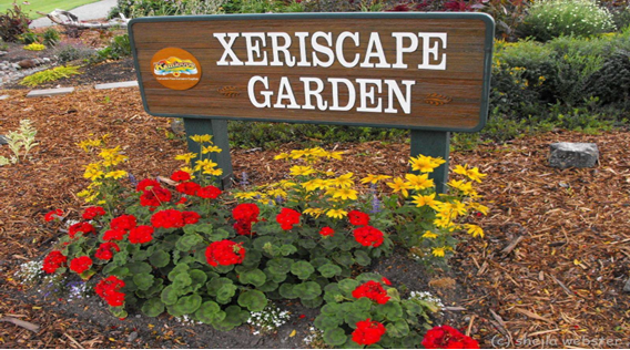 A wooden sign reading “Xeriscape Garden” with the Kamloops city logo, surrounded by bright flowers and wood mulch. A wooden sign reading “Xeriscape Garden” with the Kamloops city logo, surrounded by bright flowers and wood mulch.